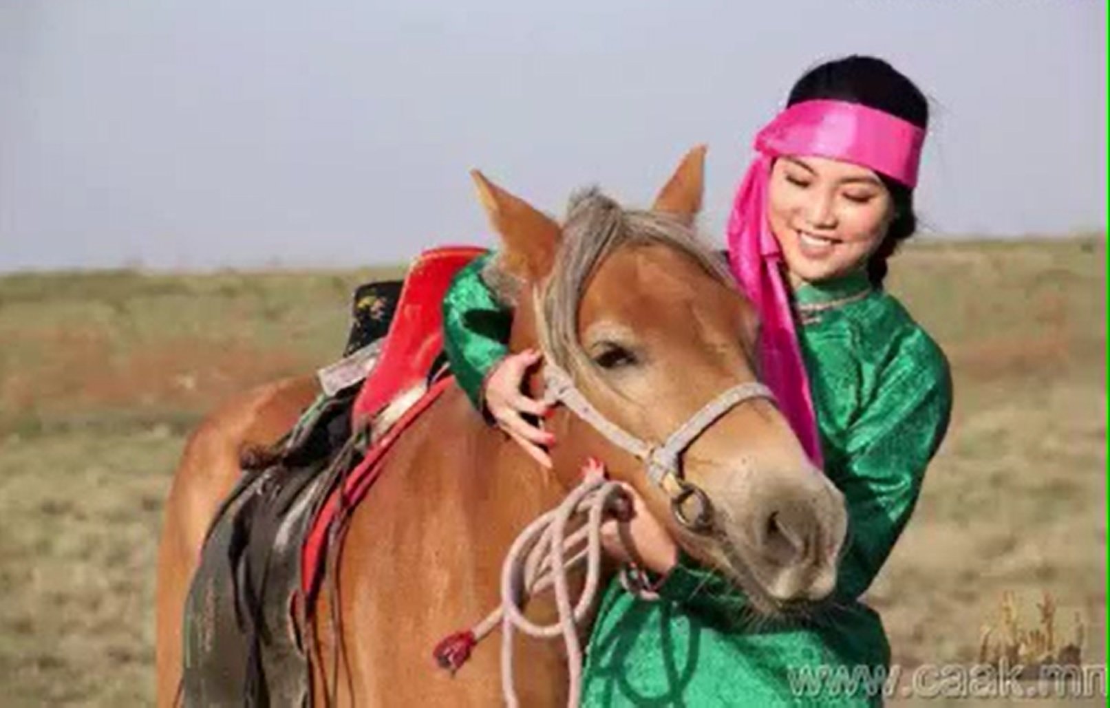 Нутгийн бүсгүй